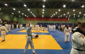 Echauffement des 136 judokates qualifiées en région Occitanie