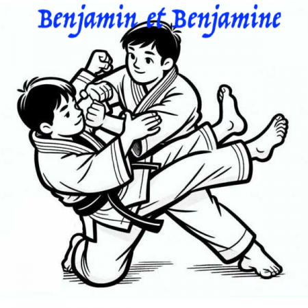Stage départemental Benjamin(es)