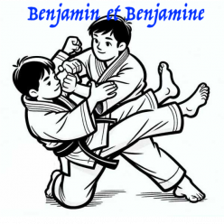 Stage départemental Benjamin(es)